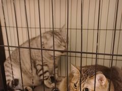 -H立方实景剧情密室(天河旗舰店)