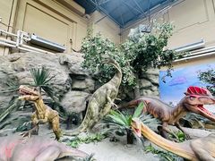 -国家自然博物馆