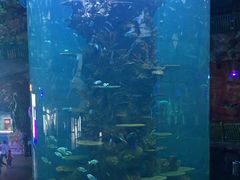 -青岛嘉年华主题乐园