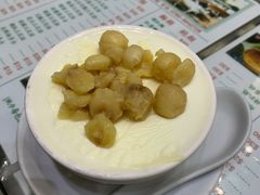 莲子双皮奶冻-义顺牛奶公司(新马路老店)