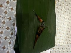 -蜗牛小馆醉乡民谣云南菜(惠新西里店)
