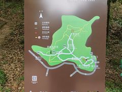 -上海佘山国家森林公园天马山园