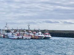 -Pakkhús Restaurant