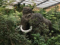-呀路古热带植物园-恐龙馆