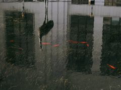 -苏州河梦清园环保主题公园