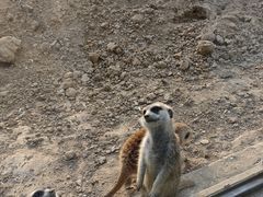 -北京世界公园