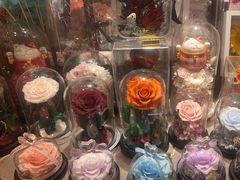 -谷莠子花艺·气球派对·绿植造景·花艺沙龙(金光华广场店)