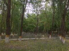 -东升八家郊野公园