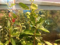 -上海昆虫博物馆