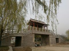 -洛阳市隋唐城遗址植物园