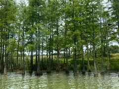 -苏州太湖国家湿地公园