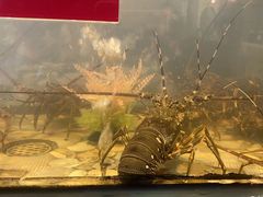 -巽寮印象美食部落餐厅·海鲜·地方特色菜(惠州体验店)