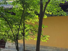 -西园寺素食(西园弄戒幢律寺店)