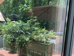 -芙蓉堂(武汉天地店)