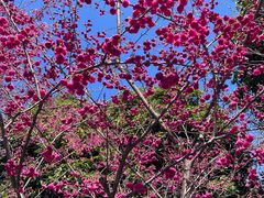 -福建鲤鱼洲酒店