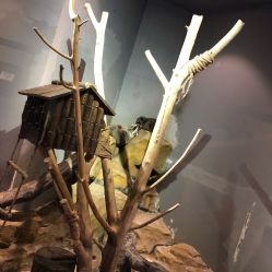 -未来动物城动物主题公园(大悦城店)