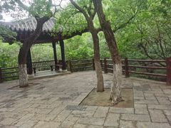 -佛慧山
