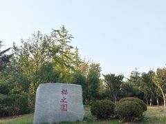 -大连东软信息学院(软件园校区)