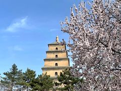 -大慈恩寺(大雁塔)