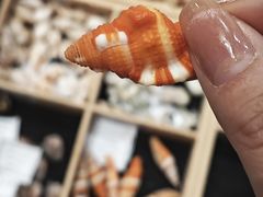 -中国湿地博物馆