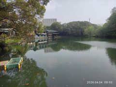 -张鸟园农家乐(张鸟园店)