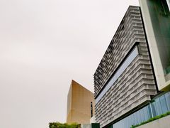 -星光大道