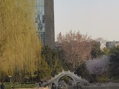 -团结湖公园