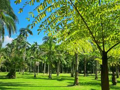 -中国科学院西双版纳热带植物园