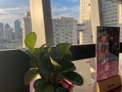 -THE CUT Rooftop顶楼牛排餐吧(环贸iapm店)