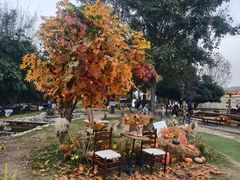 -HERRE·FARM 赫尔露营农场·团建聚会包场