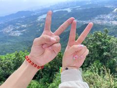 -阳台山森林公园