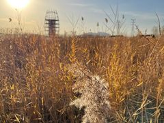 -永定河休闲森林公园