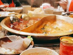 红白鸳鸯锅-小龙坎火锅(仓山万达店)