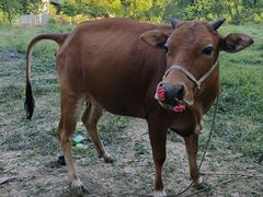 -清远鱼水旅游风景度假区