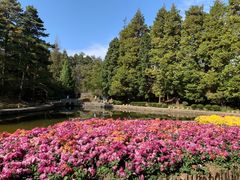 -庐山风景区花径公园