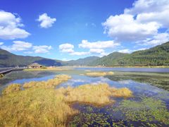 -腾冲北海湿地