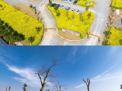 -北仑森林植物园