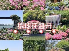 -无锡蠡湖国家湿地公园-蠡园