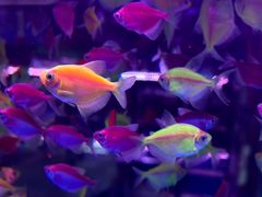 -三旗百汇商品城