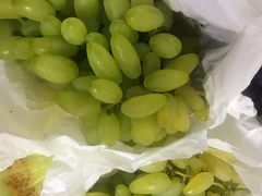 -马陆小张葡萄园农家乐