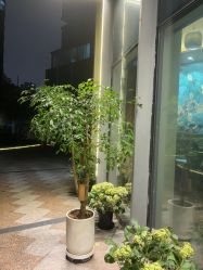 -娇玫荟SPA