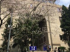 -武汉大学-樱园