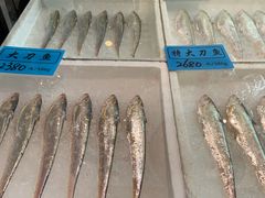 -莆鑫海鲜城(浏河店)