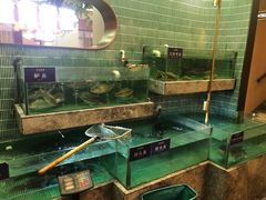 -鱼你相聚·河鲜馆(袁家岭店)