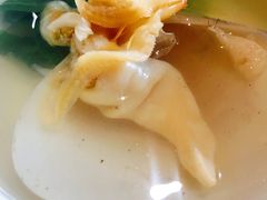 即位小象蚌-海蓝海鲜馆(五四北店)