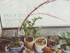-ADO KAFE(大学城店)