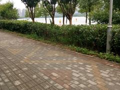 -天鹅湖体育公园