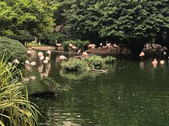 -九龙公园