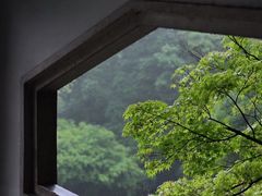 -杭州植物园