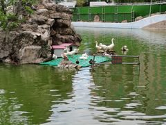 -团结湖公园